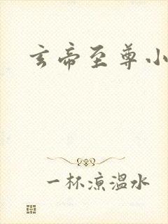 玄帝至尊小说封面