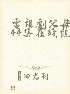 电视剧父母爱情44集在线观看