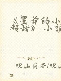 《墨爷的小萌妻超甜》 小说