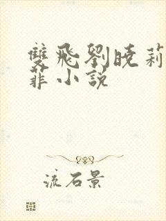 双飞刘晓莉刘亦菲小说