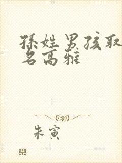 孙姓男孩取二字名高雅