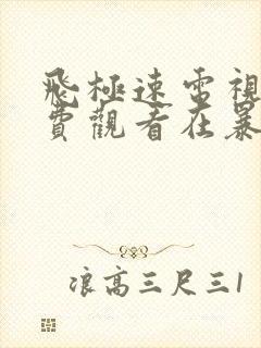 飞极速电视剧免费观看在暴雪时分