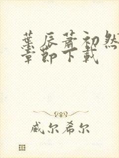 叶辰萧初然最新章节下载封面