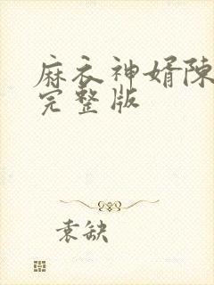 麻衣神婿陈黄皮完整版