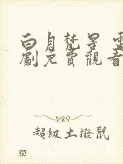 白月梵星 电视剧免费观看