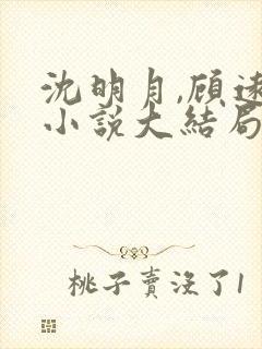 沈明月,顾远舟小说大结局