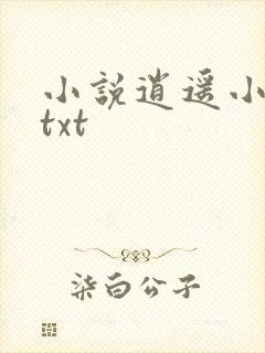 小说逍遥小贵婿txt封面