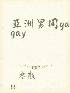 亚洲男同gaygay
