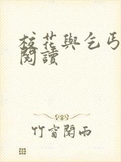 校花与乞丐在线阅读