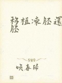 移植冻胚还是囊胚