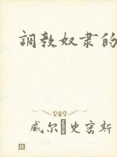 调教奴隶的小说