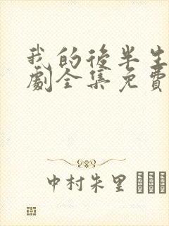 我的后半生电视剧全集免费播放高清封面