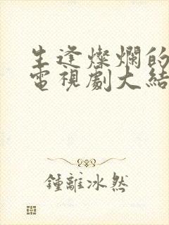 生逢灿烂的日子电视剧大结局封面