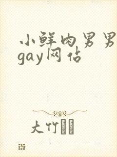 小鲜肉男男同性gay网站