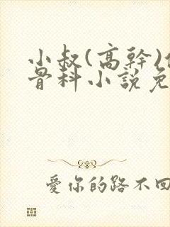 小叔(高干)伪骨科小说免费阅读双男主封面