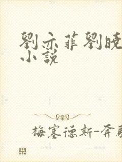 刘亦菲刘晓莉双小说