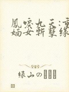 凤唳九天:重生嫡女斩孽缘