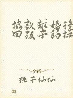 协议离婚后想要回孩子的抚养权