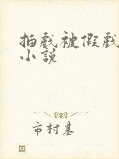 拍戏被假戏真错小说