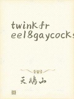 twinkfree18gaycocksextubeporn