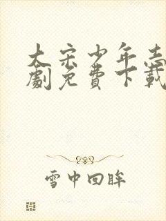 大宋少年志电视剧免费下载