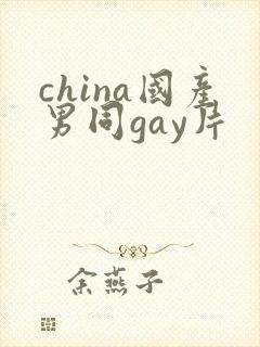 china国产男同gay片