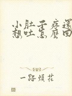 小肚子疼还恶心想吐怎么回事