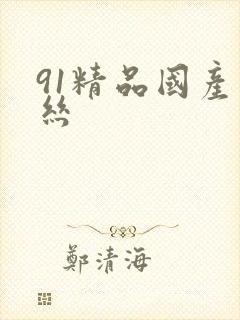 91精品国产黑丝