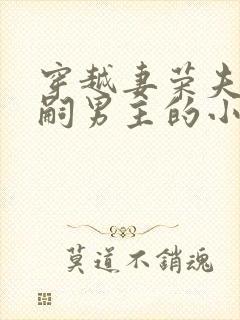 穿越妻荣夫贵绝嗣男主的小说