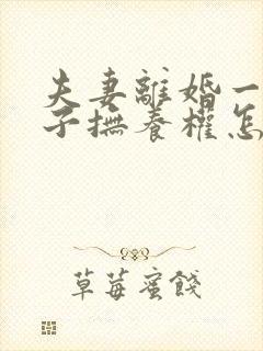 夫妻离婚一个孩子抚养权怎么判定封面