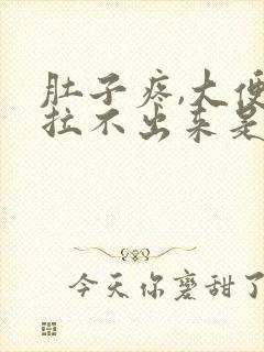 肚子疼,大便又拉不出来是什么原因