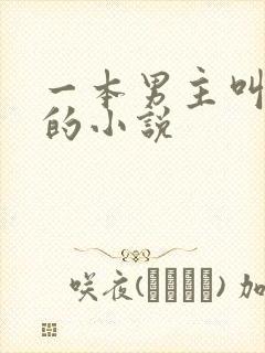 一本男主叫周扬的小说