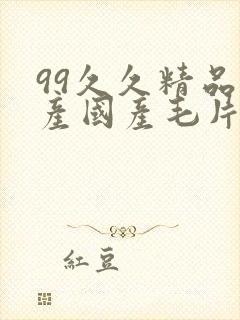 99久久精品国产国产毛片