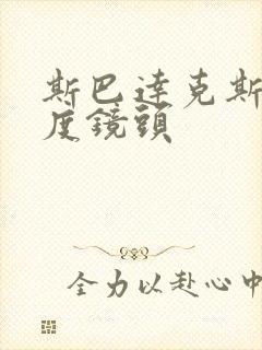 斯巴达克斯大尺度镜头