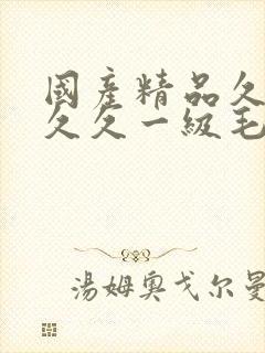 国产精品久久久久久一级毛