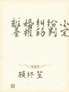 离婚纠纷小孩抚养权的判定