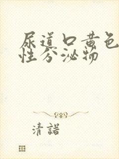 尿道口黄色液体性分泌物