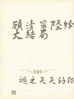 顾清宁陆绎后续大结局