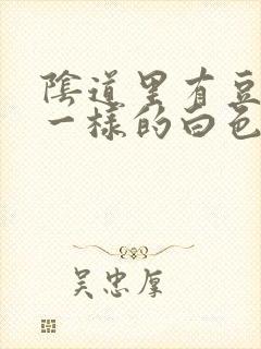 阴道里有豆腐渣一样的白色东西