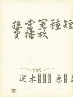 拒当冤种短剧免费播放