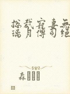 总裁宠妻无度沈璃月傅司绝