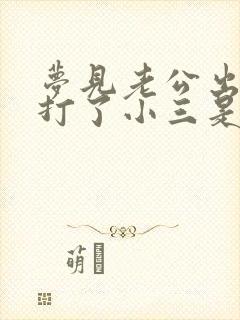 梦见老公出轨我打了小三是什么意思封面