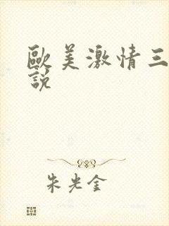 欧美激情三级小说