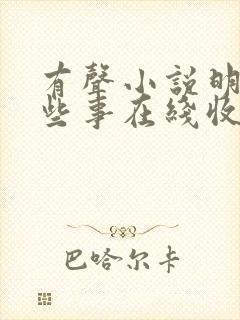 有声小说明朝那些事在线收听