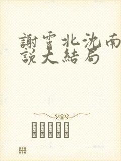 谢霄北沈南意小说大结局