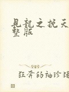 见龙之挽天倾完整版