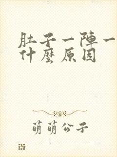 肚子一阵一阵痛什么原因