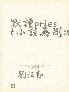默读priest小说无删减正版在线阅读封面
