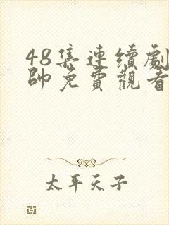 48集连续剧少帅免费观看