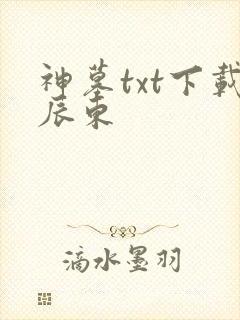 神墓txt下载辰东封面